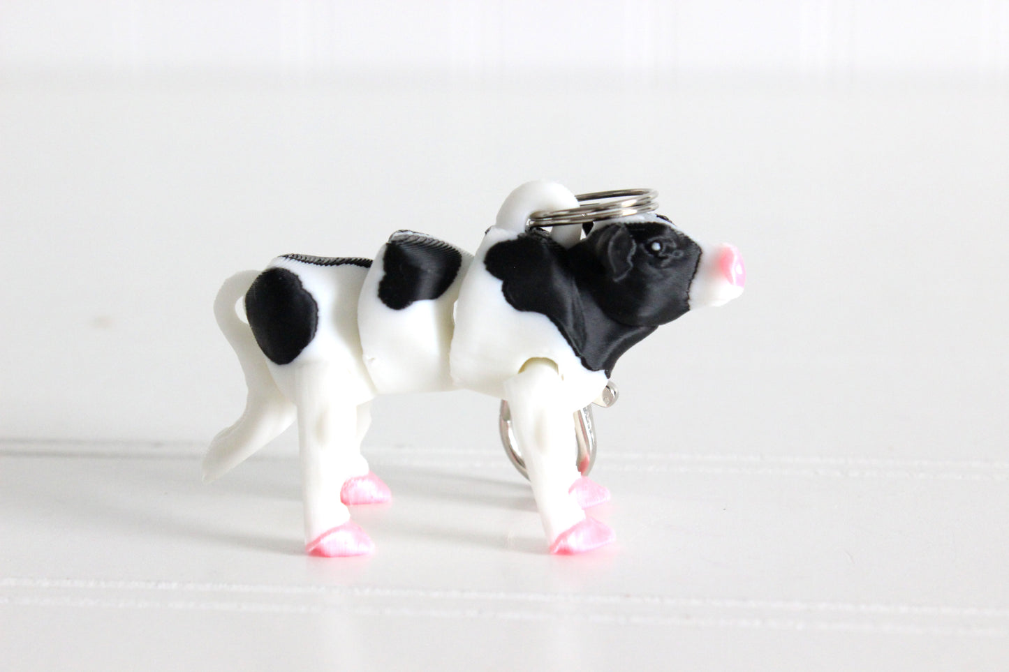 Cow- black & white
