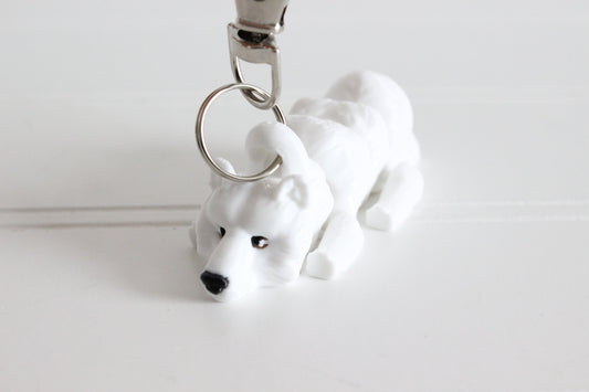 Bear- Polar
