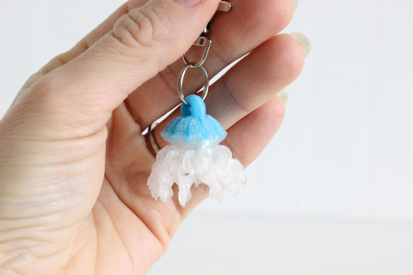 Jellyfish