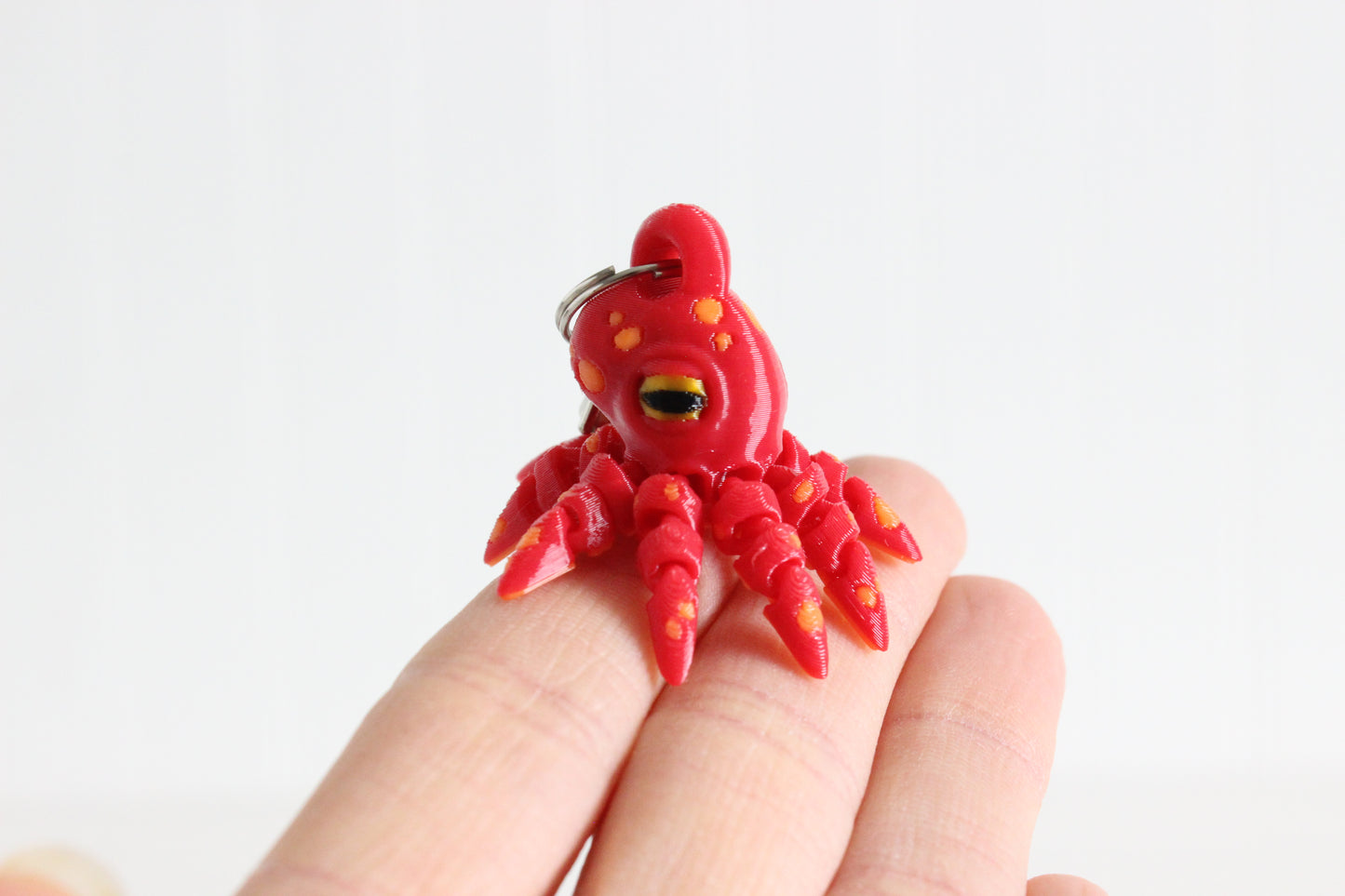 Octopus