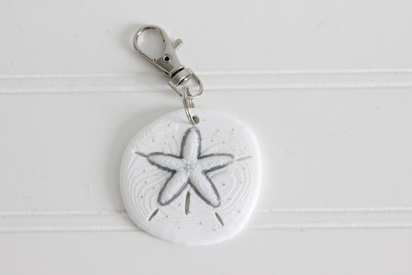 Sand Dollar