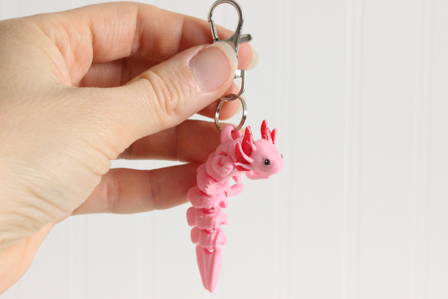 Axolotl