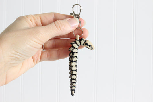 Snake- Boa Constrictor