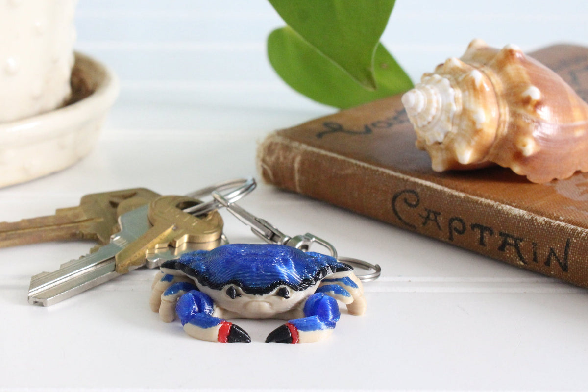 Atlantic Blue Crab